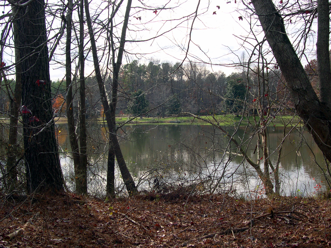 Pond 3